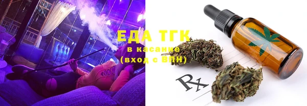 хмурый Бикин