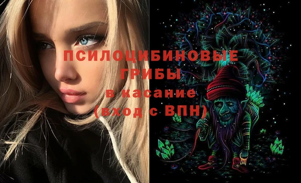мяу мяу мука Михайловка