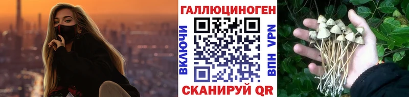даркнет сайт  МЕГА маркетплейс  Псилоцибиновые грибы GOLDEN TEACHER  Нягань 